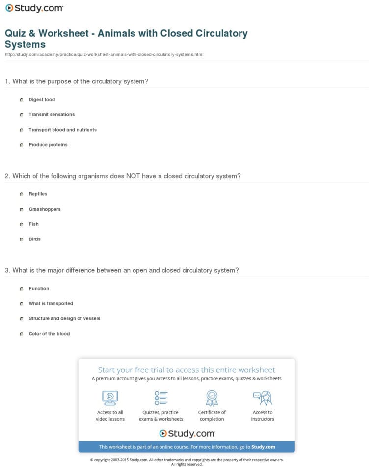 Quiz  Worksheet  Animals With Closed Circulatory Systems