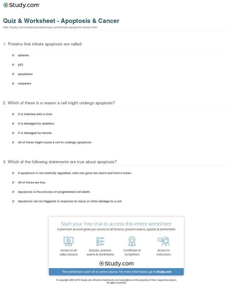 Quiz  Worksheet  Apoptosis  Cancer  Study