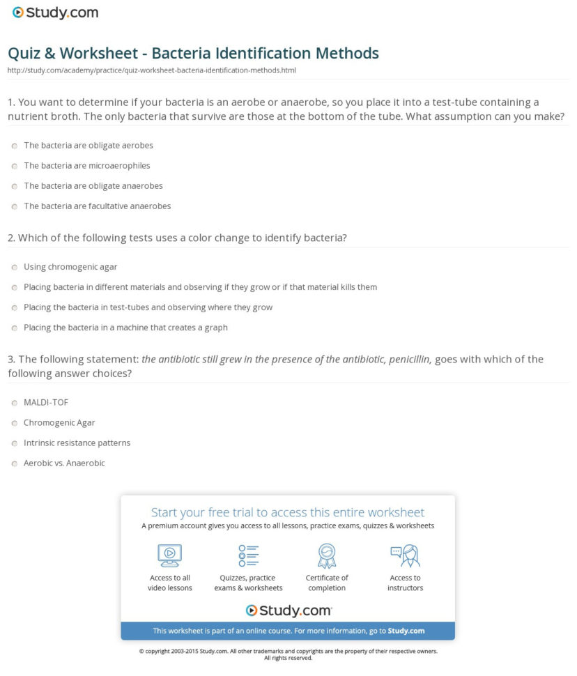 Quiz  Worksheet  Bacteria Identification Methods  Study