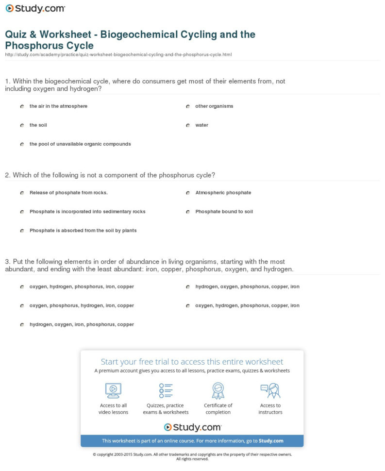 Quiz  Worksheet  Biogeochemical Cycling And The Phosphorus