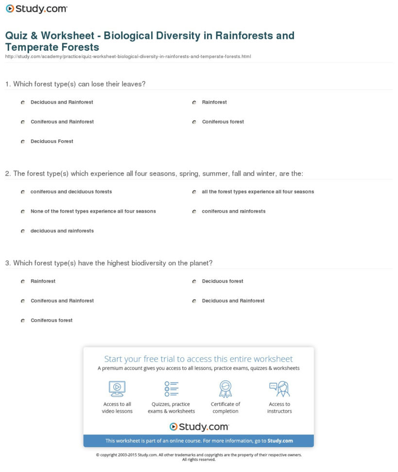 Quiz  Worksheet  Biological Diversity In Rainforests And