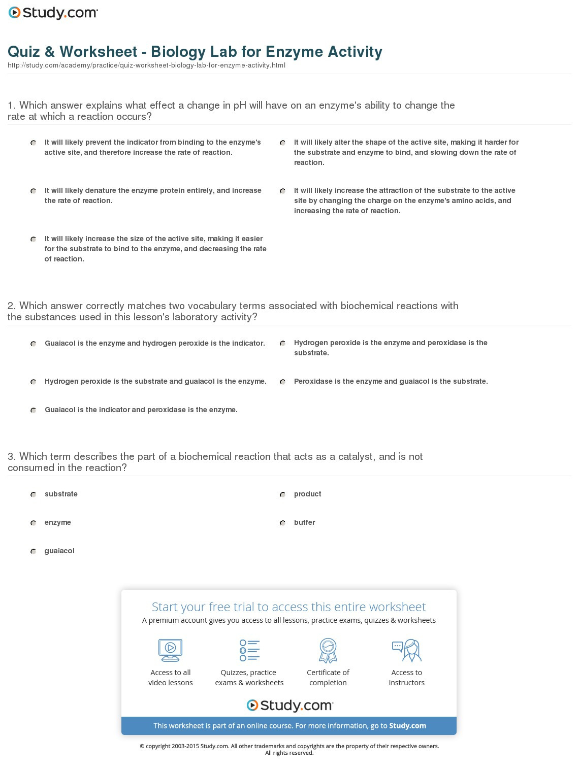 Quiz  Worksheet  Biology Lab For Enzyme Activity  Study