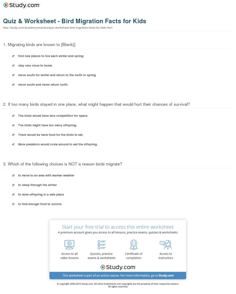 Quiz  Worksheet  Bird Migration Facts For Kids  Study