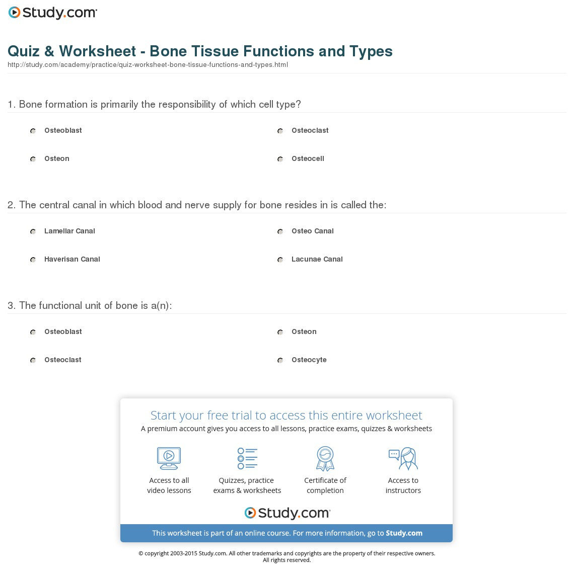 Quiz  Worksheet  Bone Tissue Functions And Types  Study