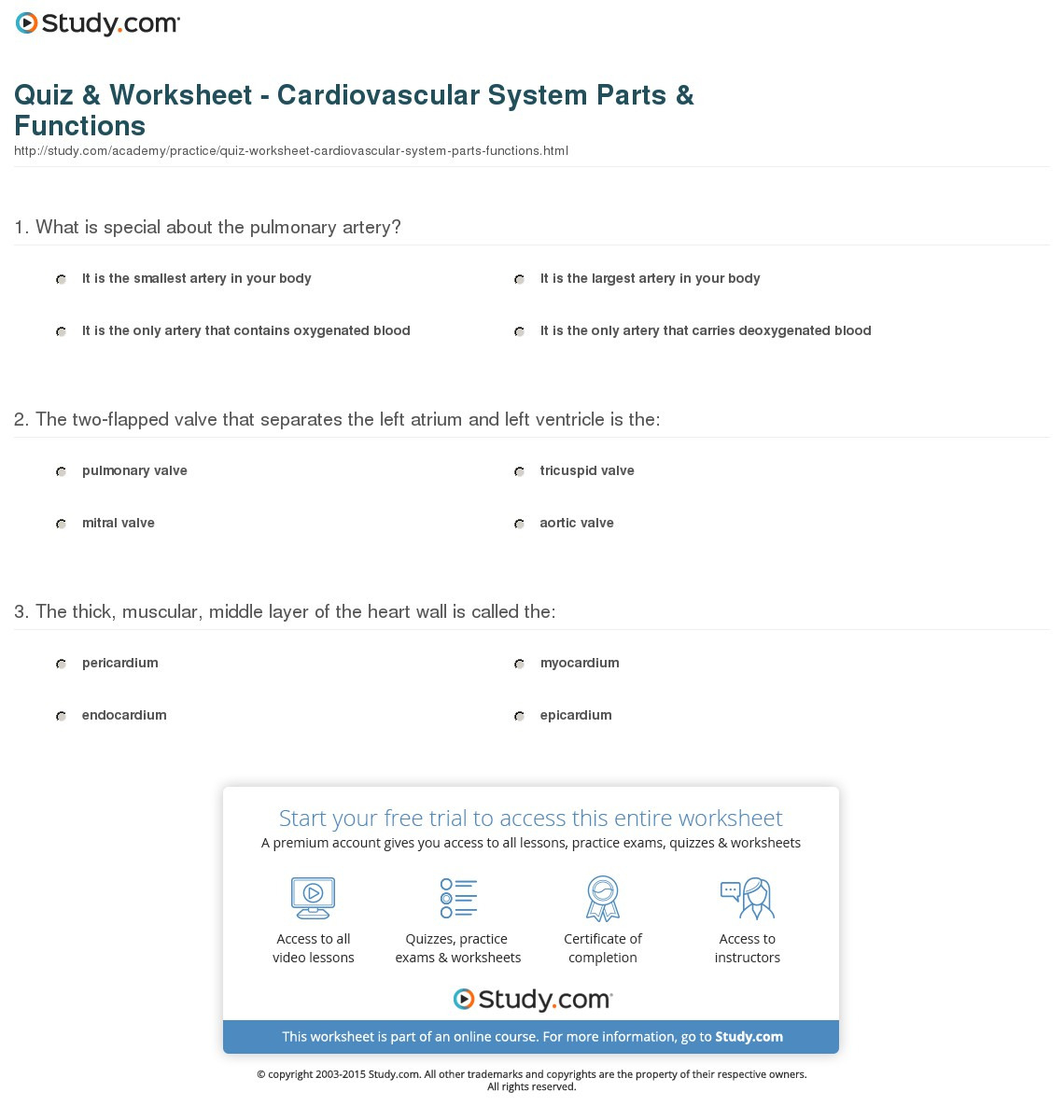 Quiz  Worksheet  Cardiovascular System Parts  Functions