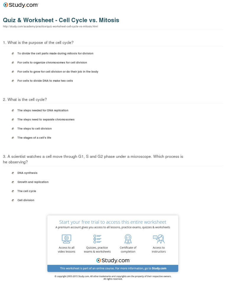 Quiz  Worksheet  Cell Cycle Vs Mitosis  Study