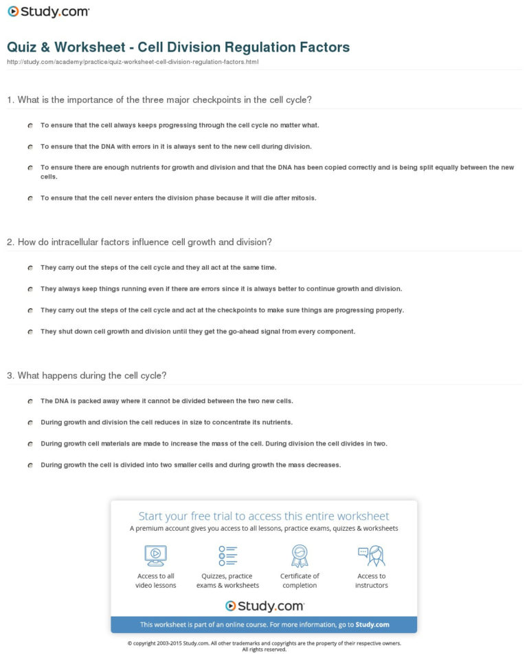 Quiz  Worksheet  Cell Division Regulation Factors  Study