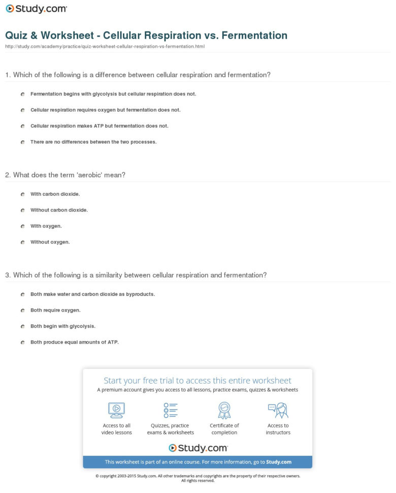 Quiz  Worksheet  Cellular Respiration Vs Fermentation