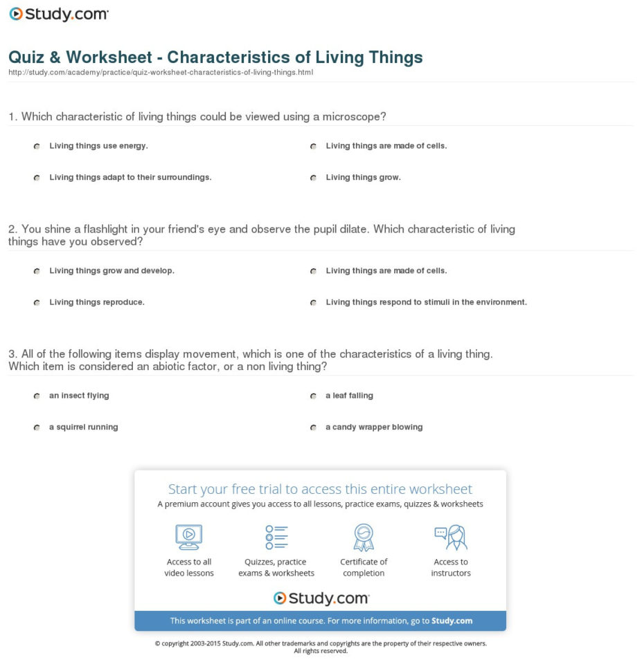 Quiz  Worksheet  Characteristics Of Living Things  Study