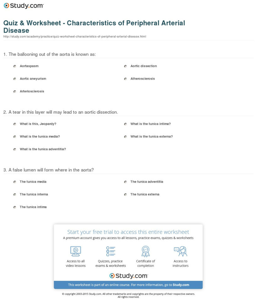 Quiz  Worksheet  Characteristics Of Peripheral Arterial