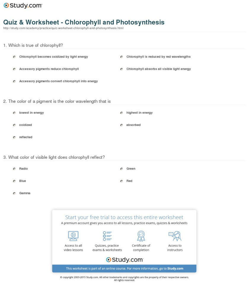 the-absorption-of-chlorophyll-worksheet-answers-db-excel