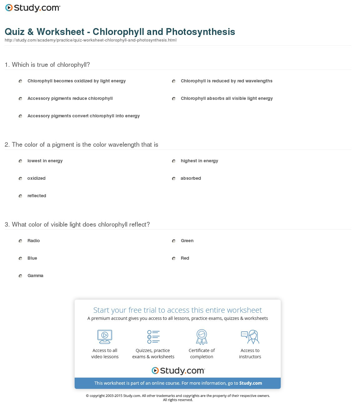 Quiz  Worksheet  Chlorophyll And Photosynthesis  Study