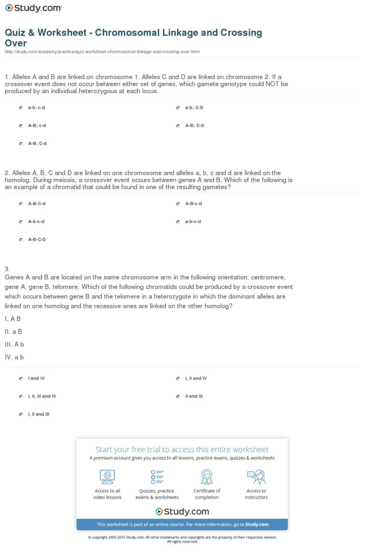 Genetic Engineering Simulations Worksheet Answers