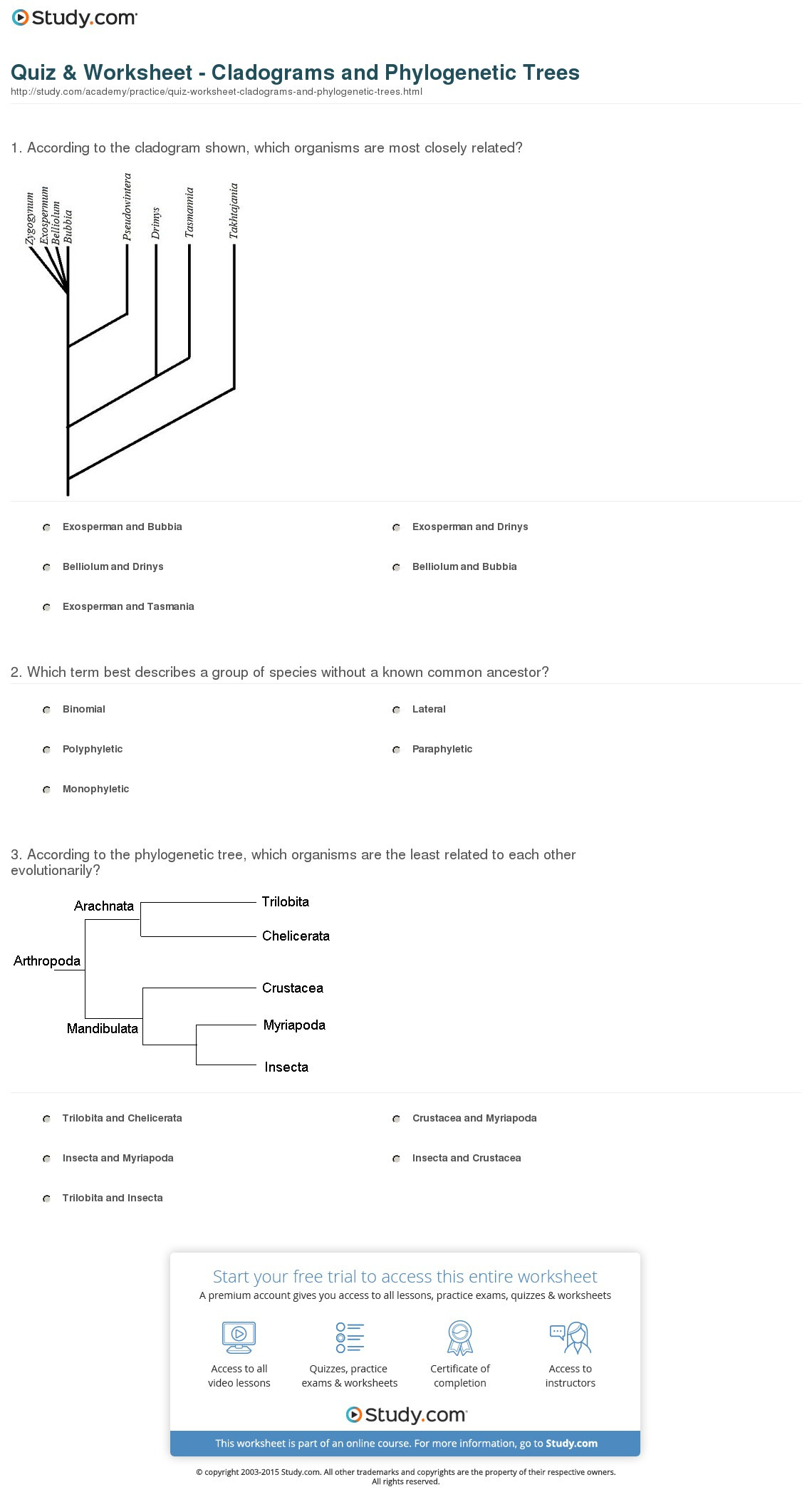 Quiz  Worksheet  Cladograms And Phylogenetic Trees  Study