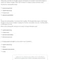 Quiz  Worksheet  Cognitive Behavioral Therapy Techniques