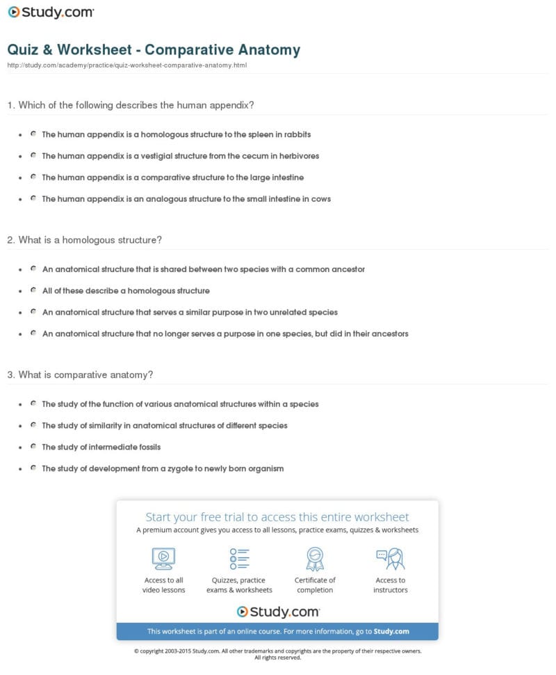 Quiz  Worksheet  Comparative Anatomy  Study