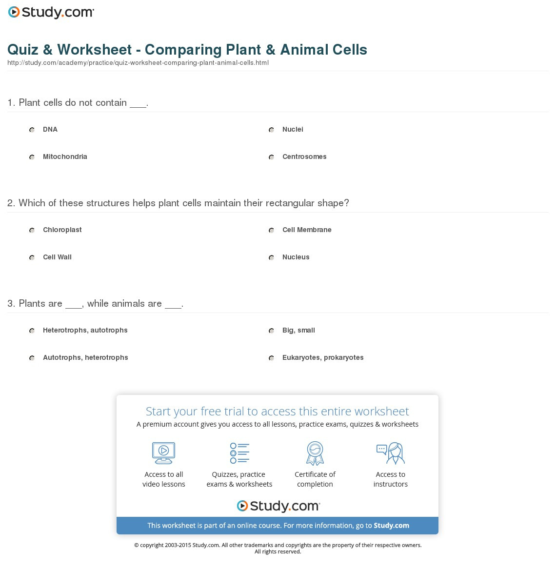Quiz  Worksheet  Comparing Plant  Animal Cells  Study