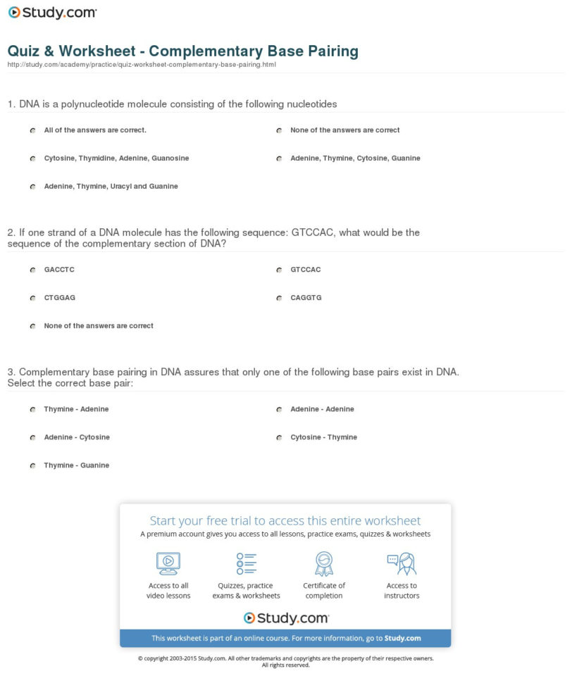 Quiz  Worksheet  Complementary Base Pairing  Study