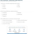 Quiz  Worksheet  Components Of Dna Replication  Study