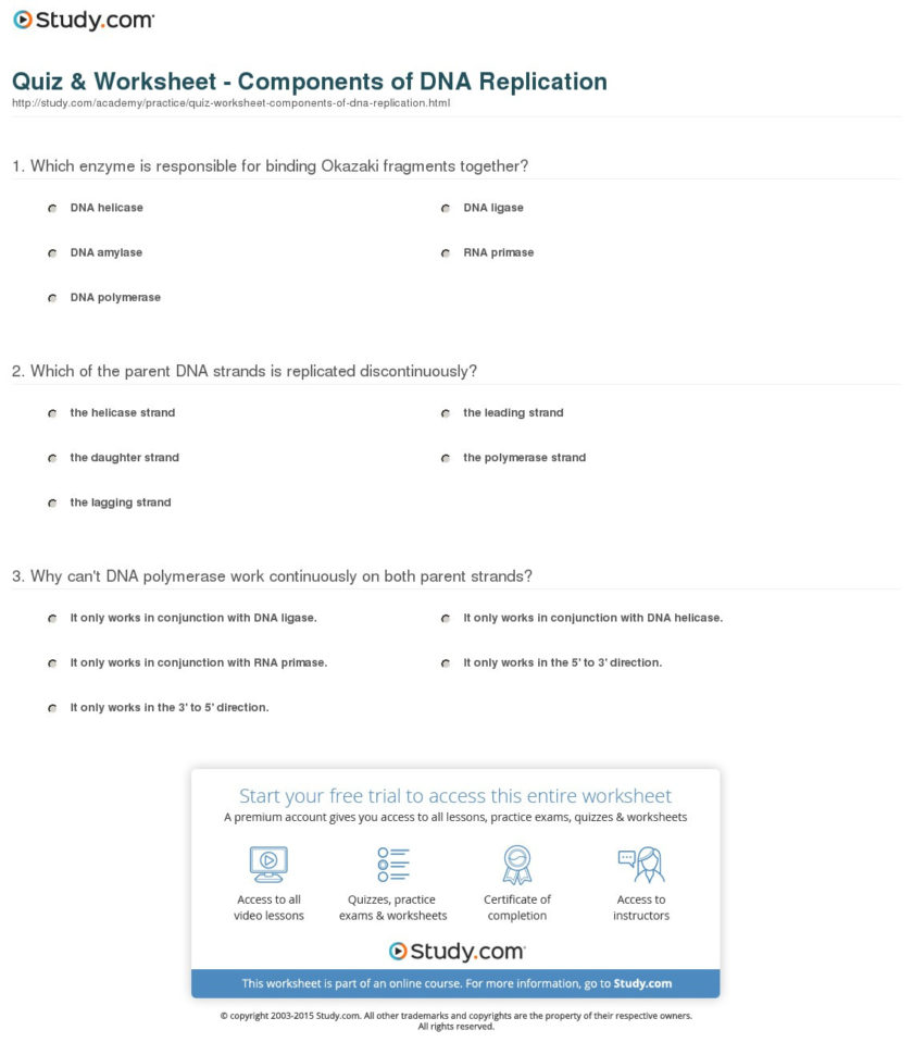 Quiz  Worksheet  Components Of Dna Replication  Study