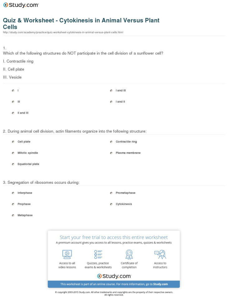 Quiz  Worksheet  Cytokinesis In Animal Versus Plant Cells