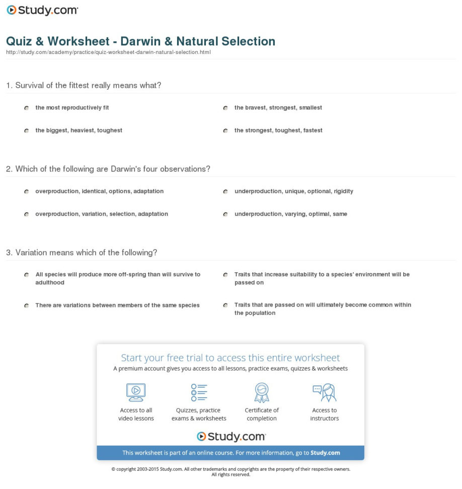 Quiz  Worksheet  Darwin  Natural Selection  Study