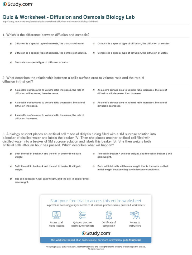 Quiz  Worksheet  Diffusion And Osmosis Biology Lab  Study