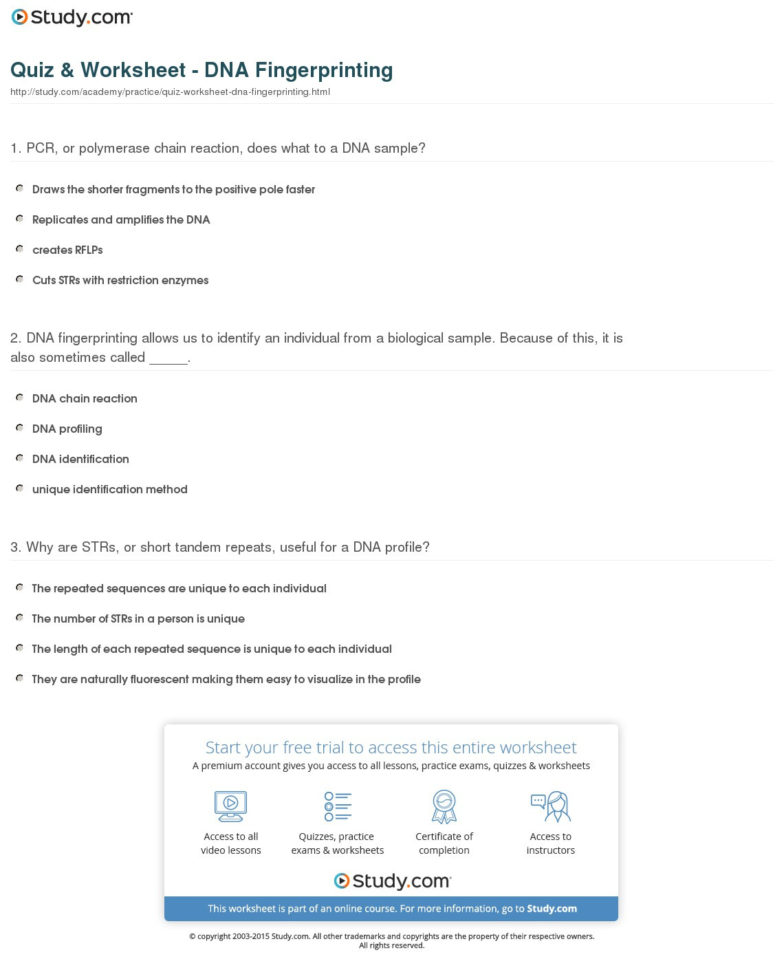 Quiz  Worksheet  Dna Fingerprinting  Study