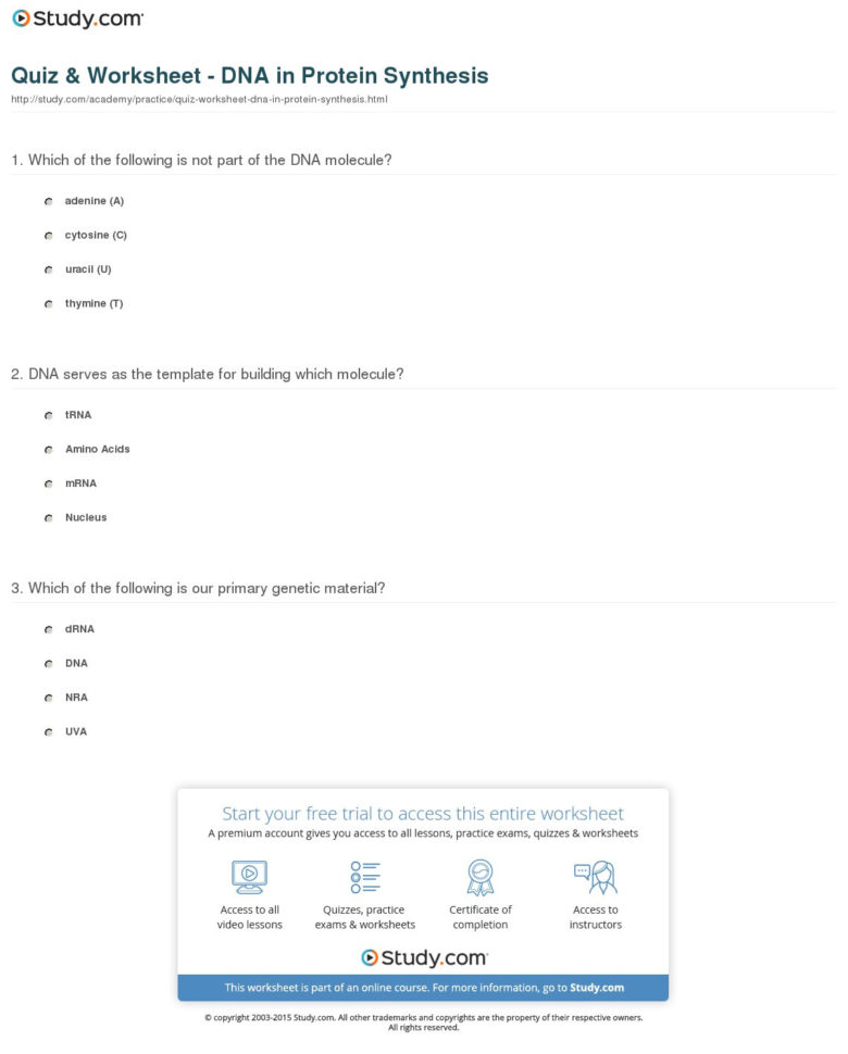 Quiz  Worksheet  Dna In Protein Synthesis  Study