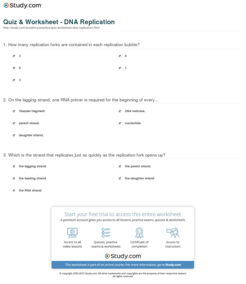Quiz  Worksheet  Dna Replication  Study