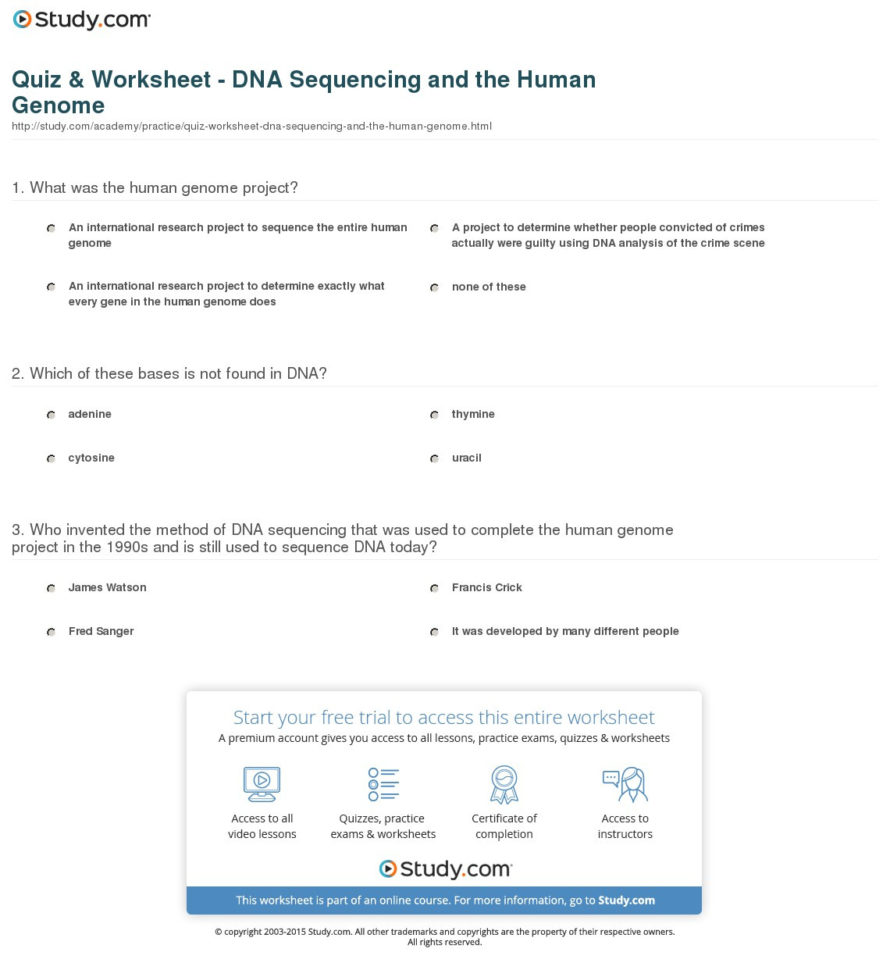 Quiz  Worksheet  Dna Sequencing And The Human Genome