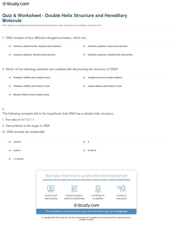 Dna The Molecule Of Heredity Worksheet