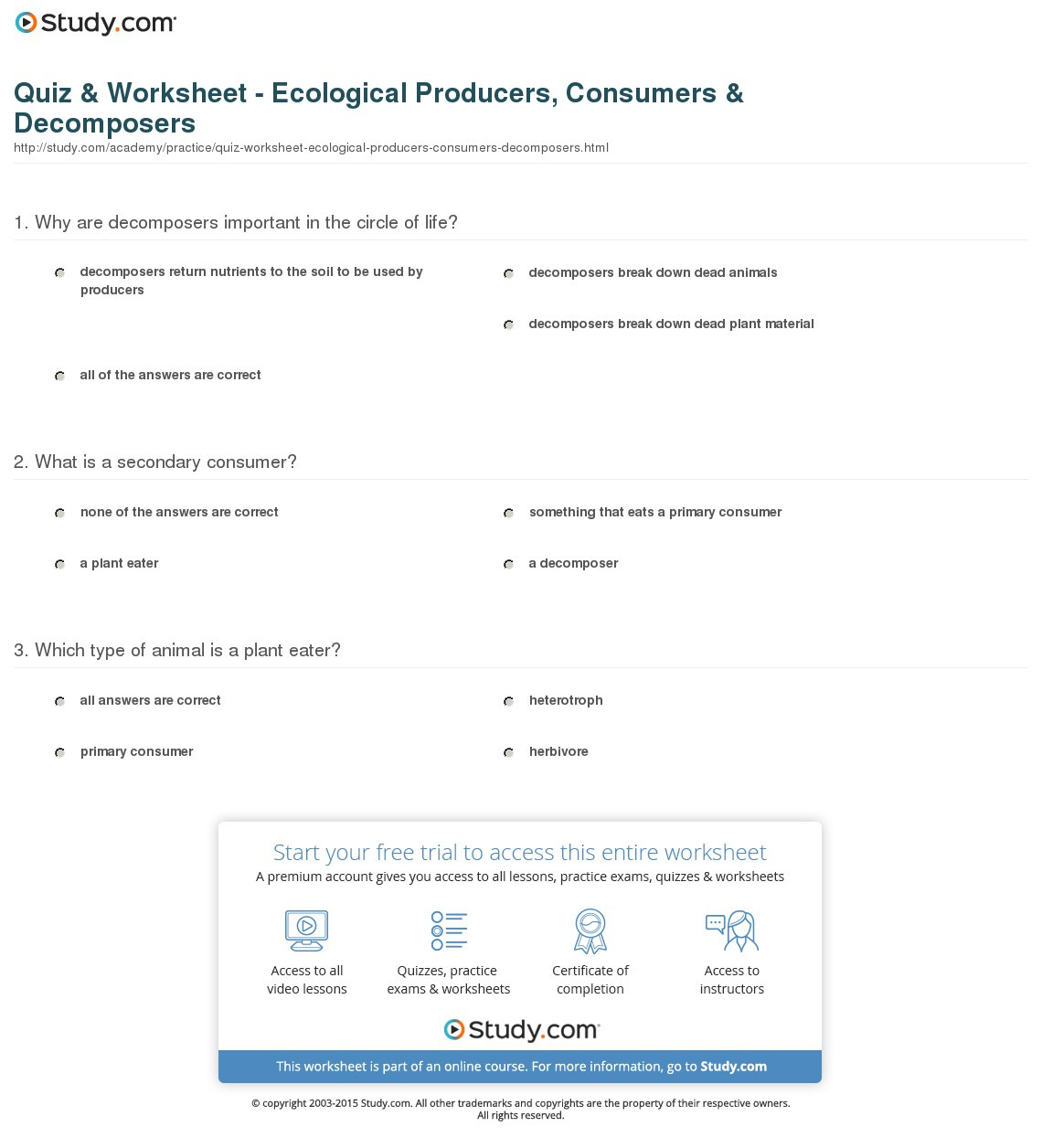 Quiz  Worksheet  Ecological Producers Consumers
