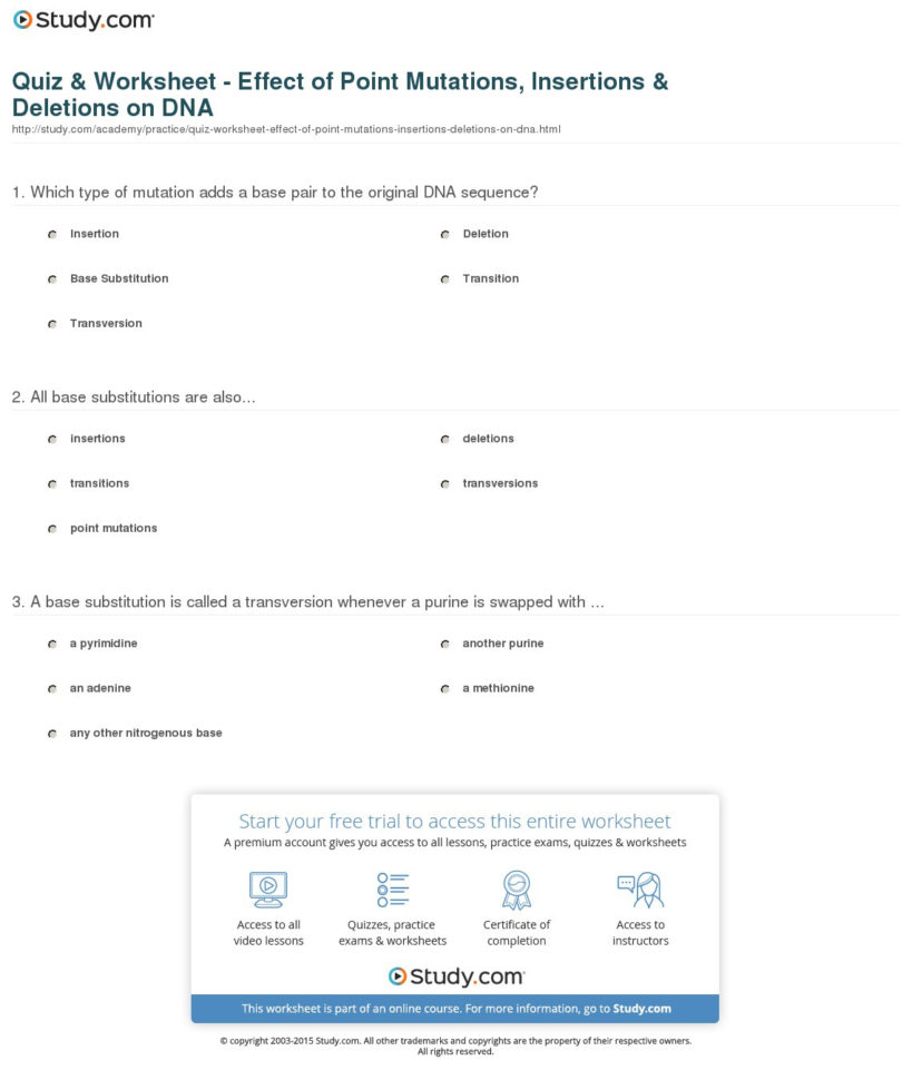 Quiz  Worksheet  Effect Of Point Mutations Insertions