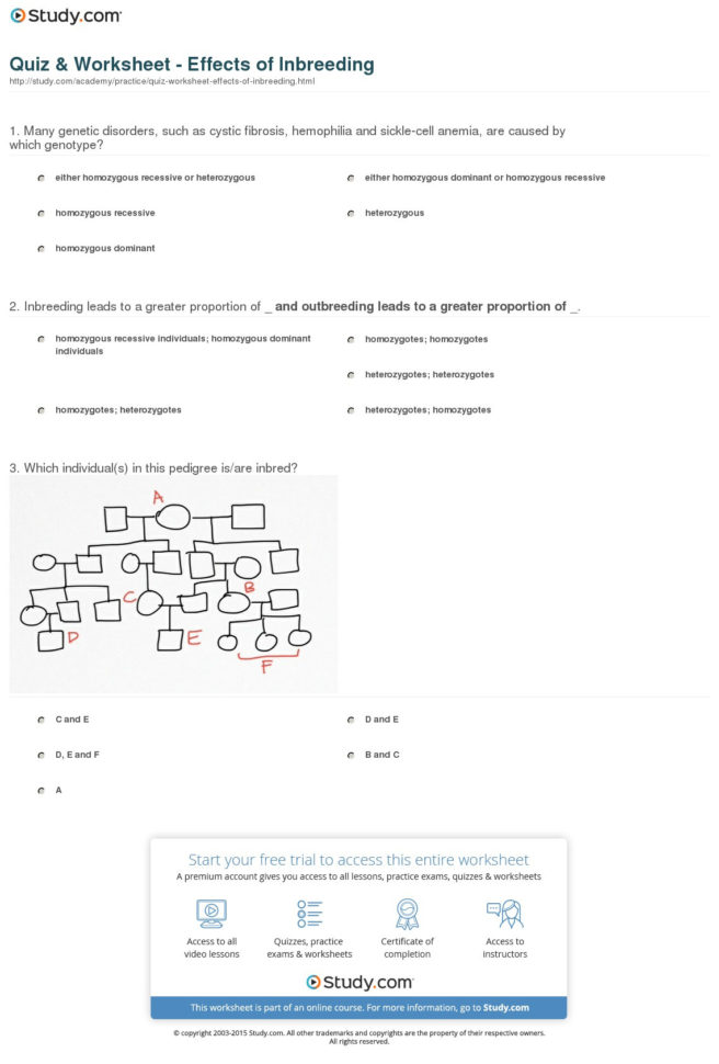Quiz  Worksheet  Effects Of Inbreeding  Study