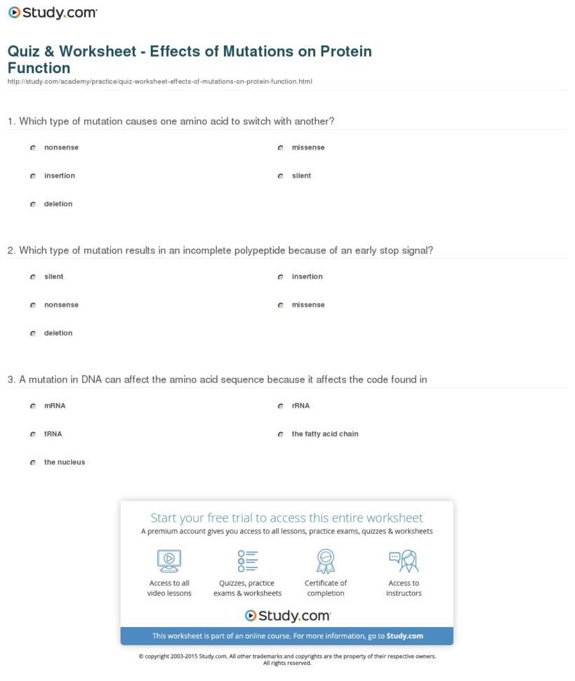 Quiz  Worksheet  Effects Of Mutations On Protein Function