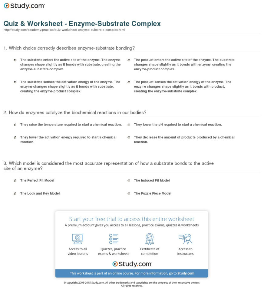 Quiz  Worksheet  Enzymesubstrate Complex  Study