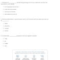 Quiz  Worksheet  Food Chain Facts For Kids  Study