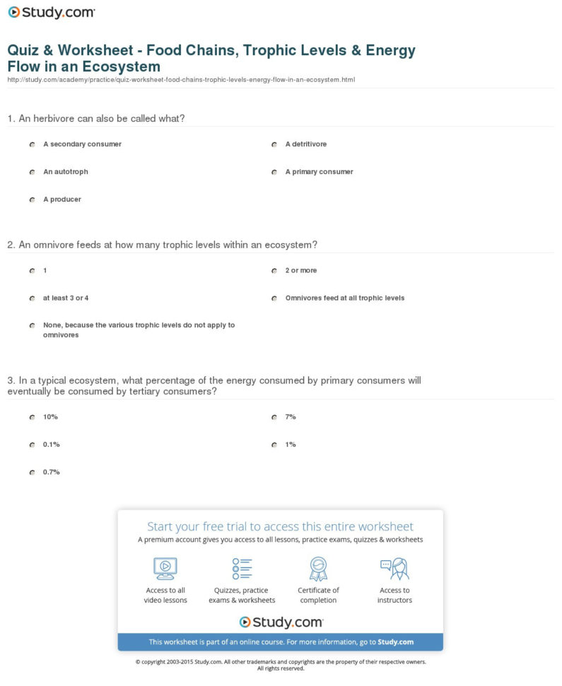 Quiz  Worksheet  Food Chains Trophic Levels  Energy Flow