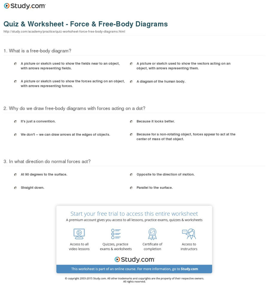 Quiz  Worksheet  Force  Freebody Diagrams  Study