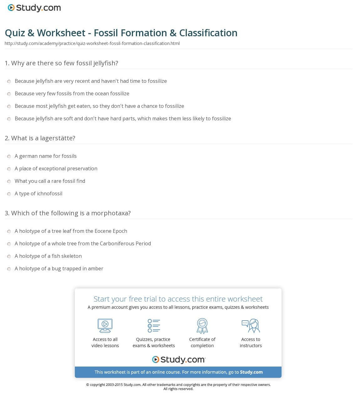 Quiz  Worksheet  Fossil Formation  Classification  Study