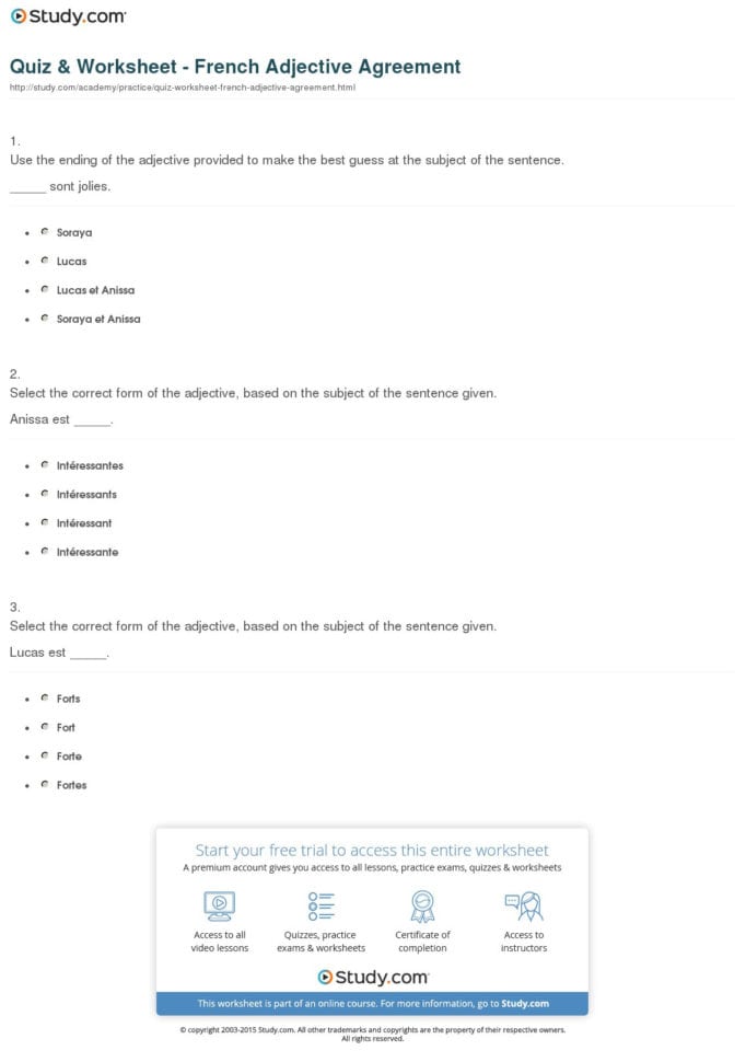 Quiz  Worksheet  French Adjective Agreement  Study