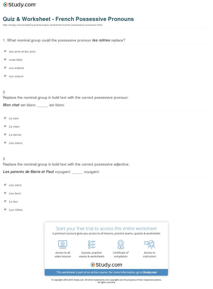Quiz  Worksheet  French Possessive Pronouns  Study