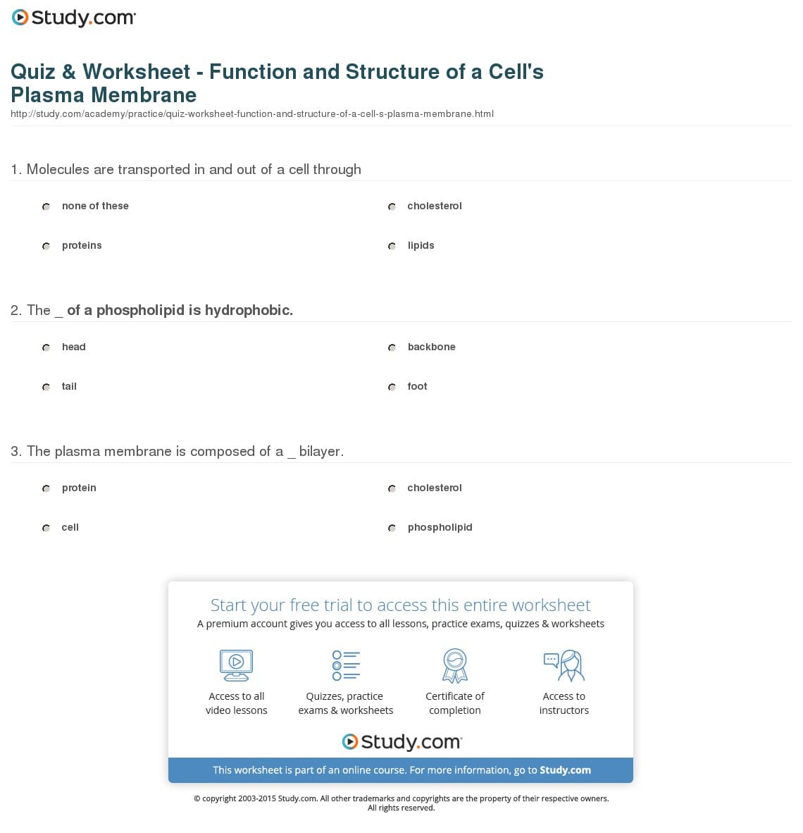 Quiz  Worksheet  Function And Structure Of A Cell's Plasma