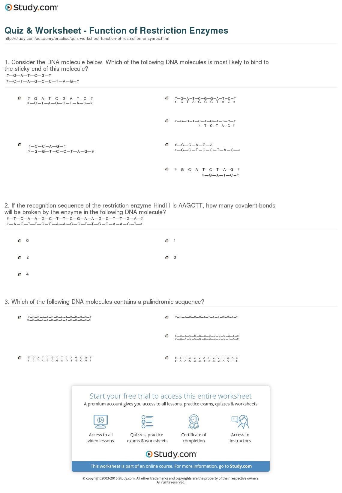 Quiz  Worksheet  Function Of Restriction Enzymes  Study