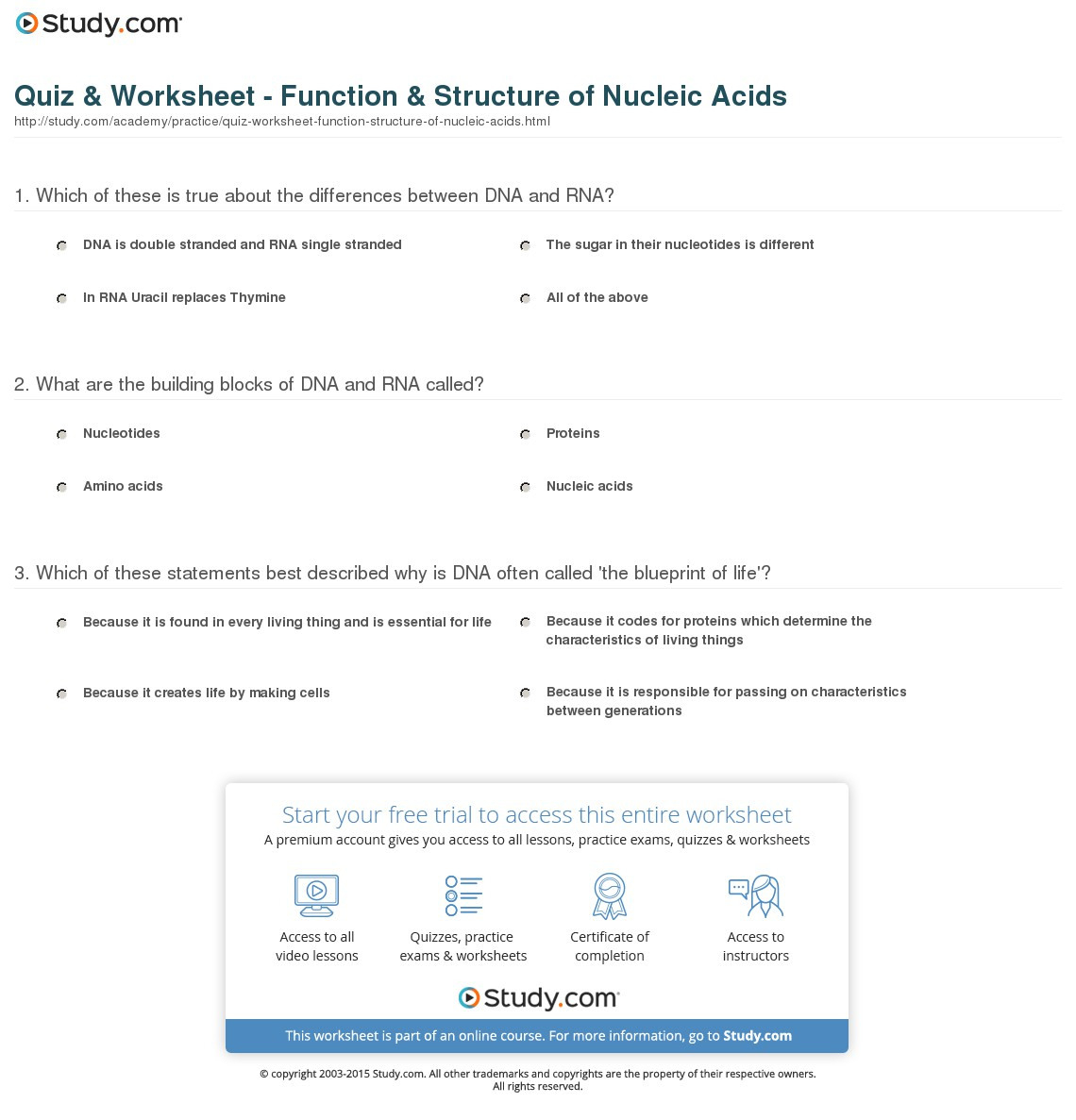 Quiz  Worksheet  Function  Structure Of Nucleic Acids