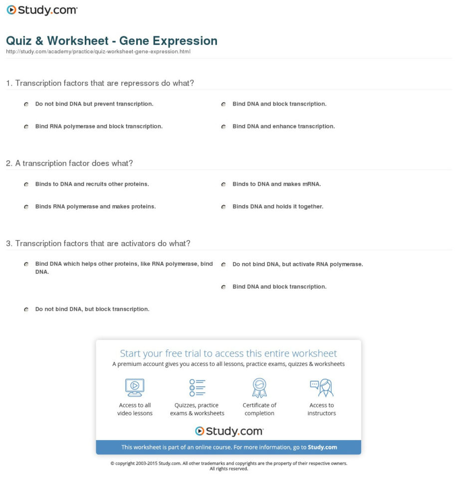 Quiz  Worksheet  Gene Expression  Study