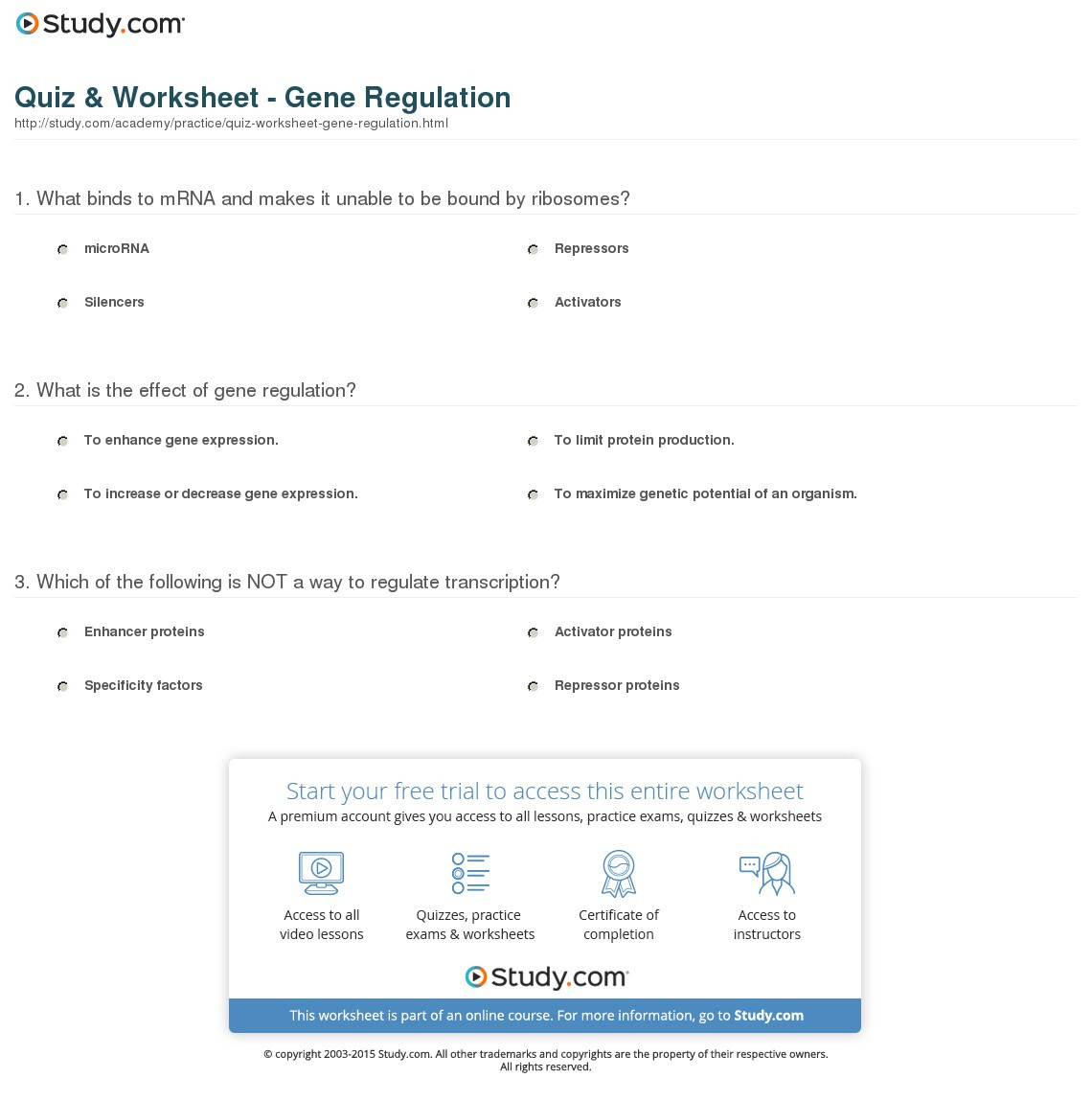 Quiz  Worksheet  Gene Regulation  Study