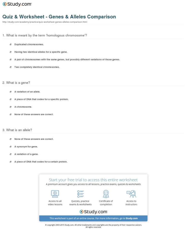 Quiz  Worksheet  Genes  Alleles Comparison  Study