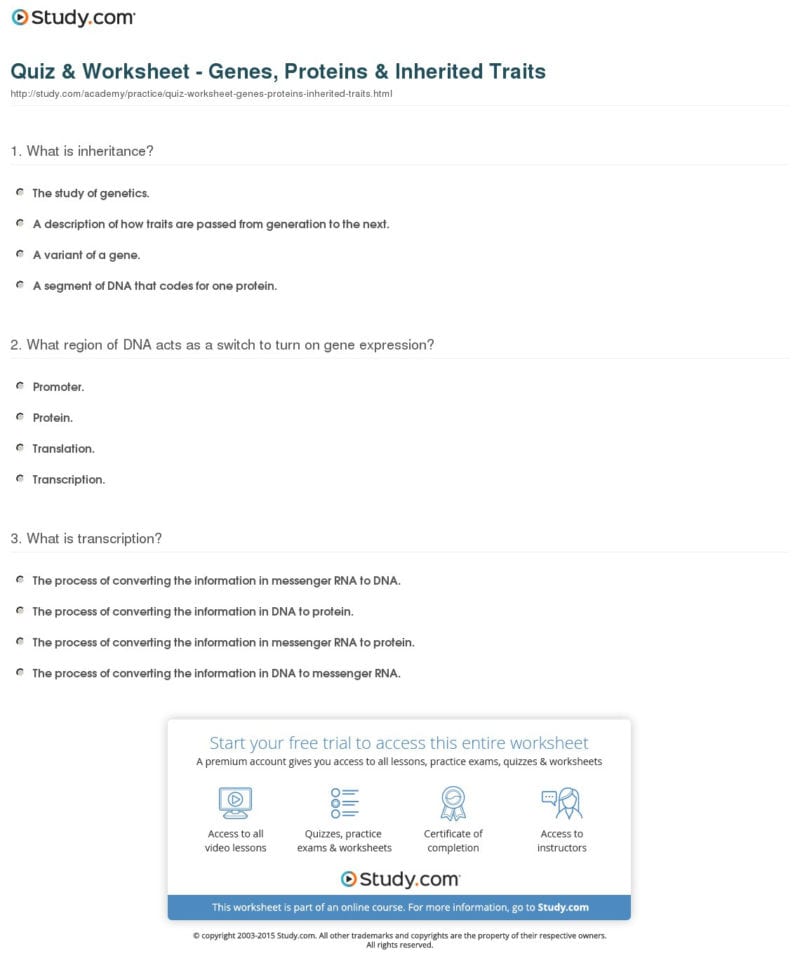 Quiz  Worksheet  Genes Proteins  Inherited Traits